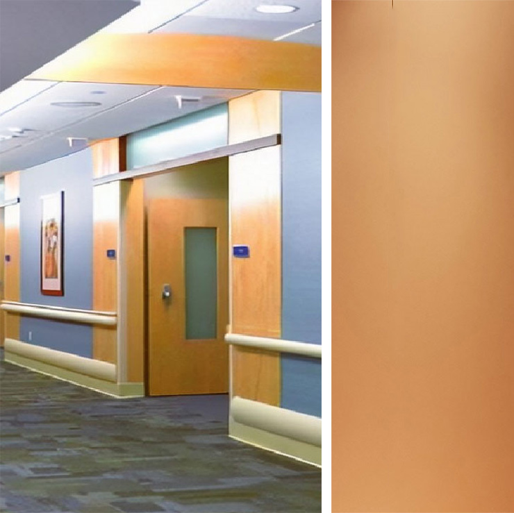 醫(yī)療應(yīng)用 醫(yī)療應(yīng)用